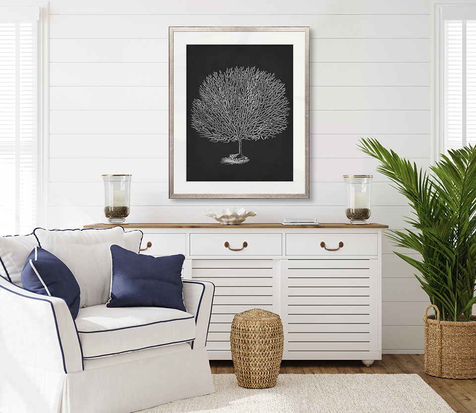 Curious Coral Delight I