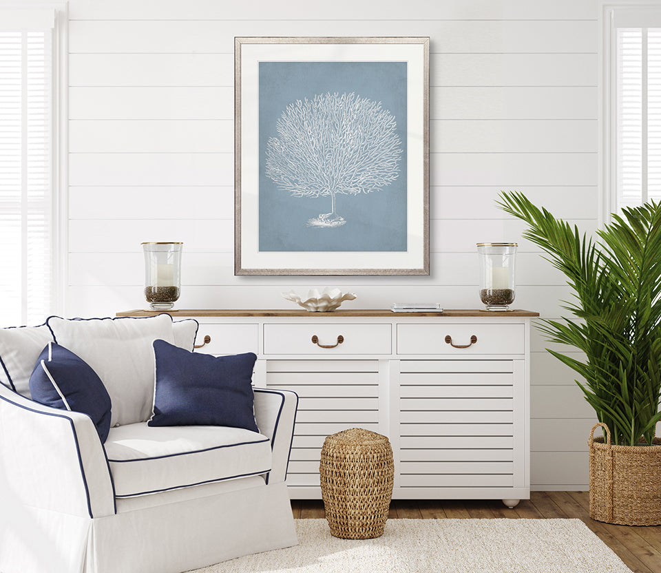 Curious Coral Delight VII