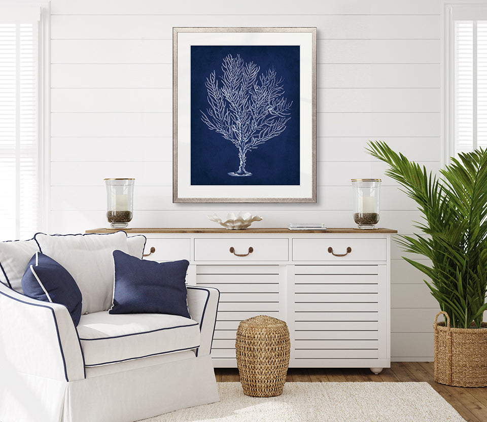 Curious Coral Delight VIII