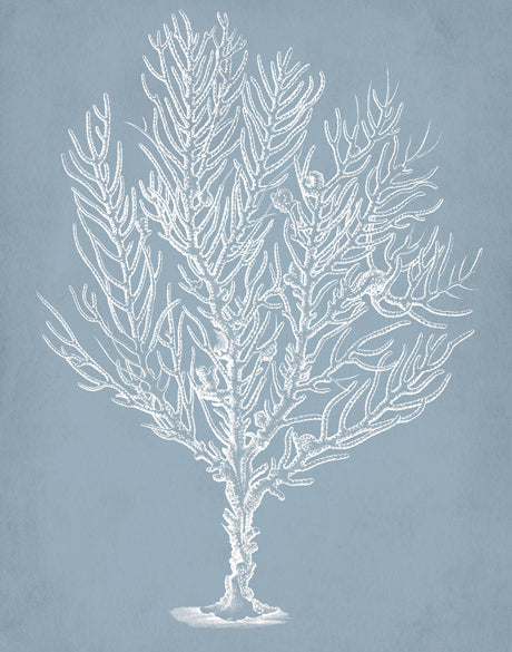 Curious Coral Delight IX