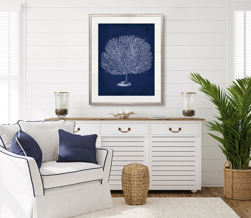 Curious Coral Delight X