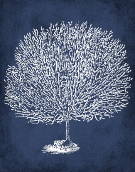 Curious Coral Delight X