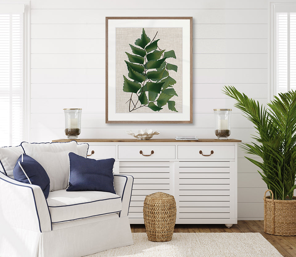 Tropical Evergreen II