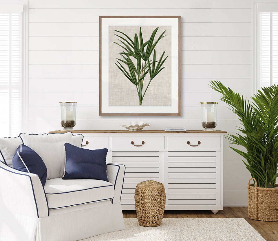 Tropical Evergreen III