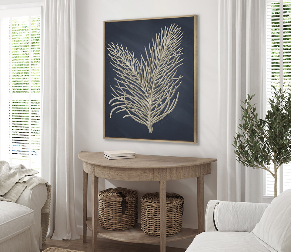 Coral Curiosity I (Canvas)