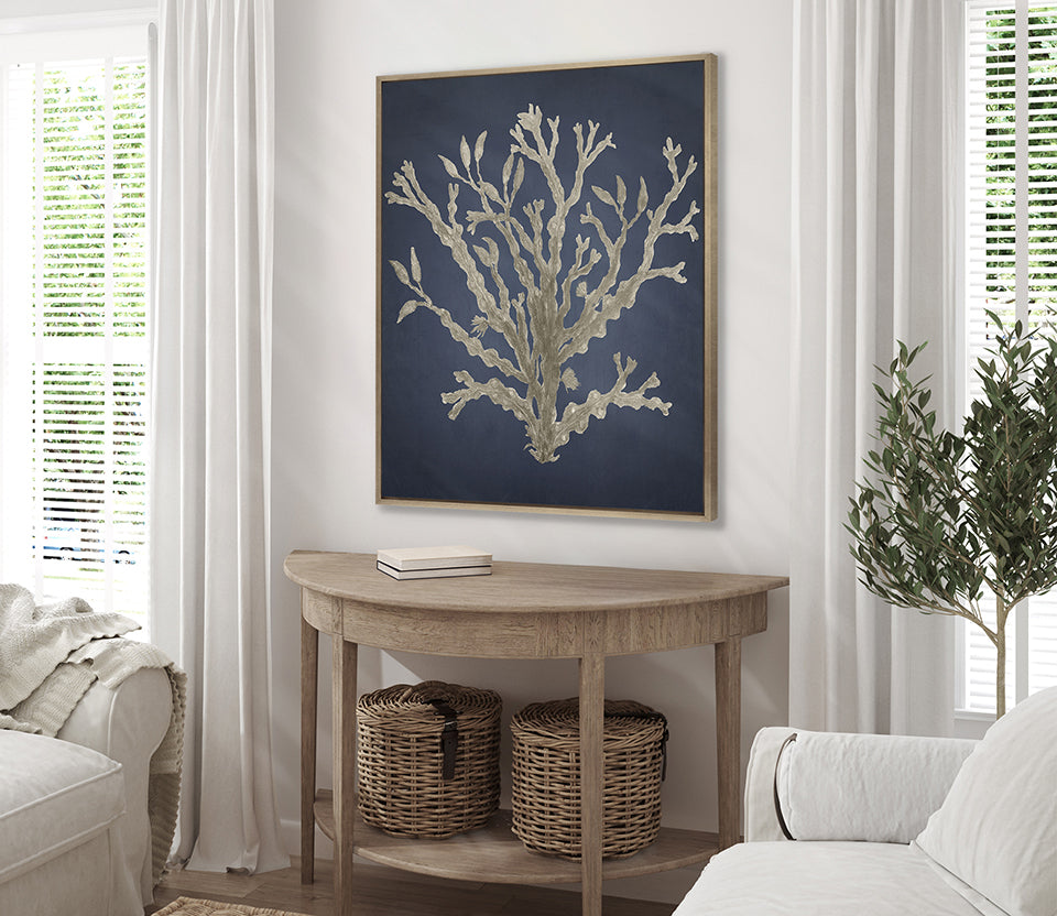 Coral Curiosity II (Canvas)