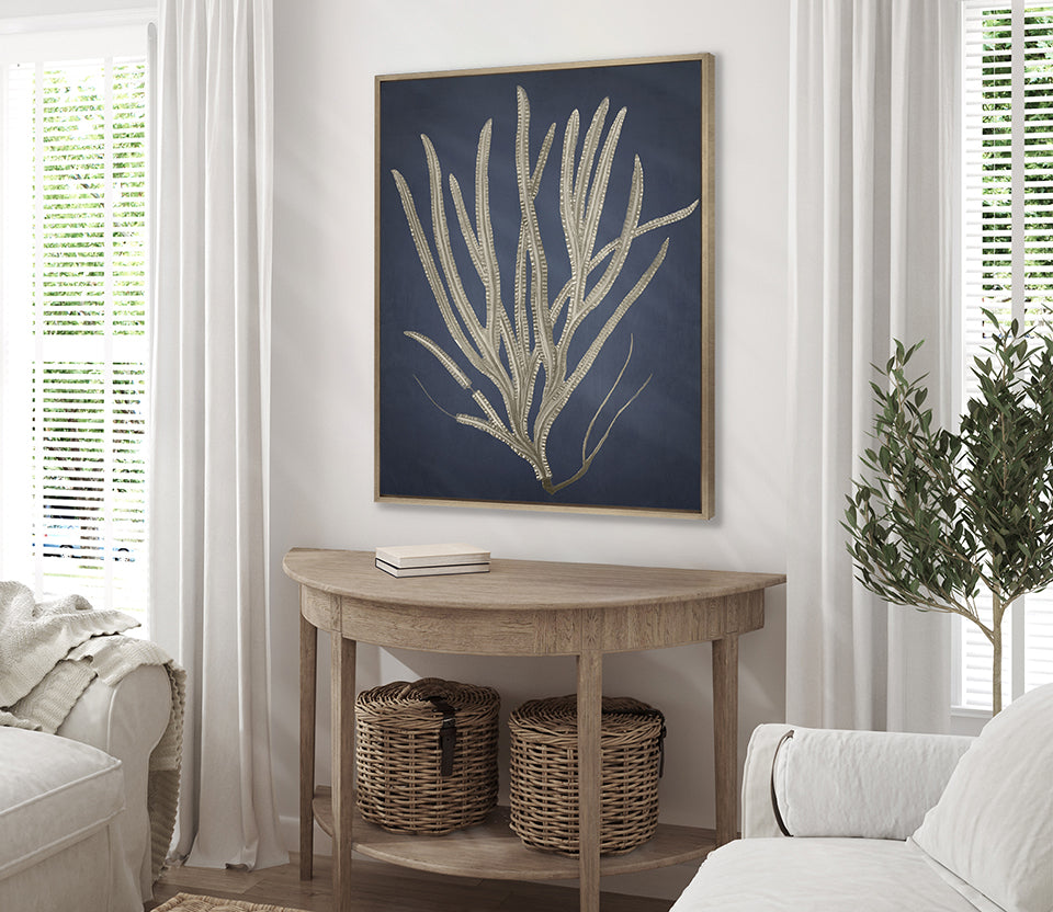 Coral Curiosity III (Canvas)
