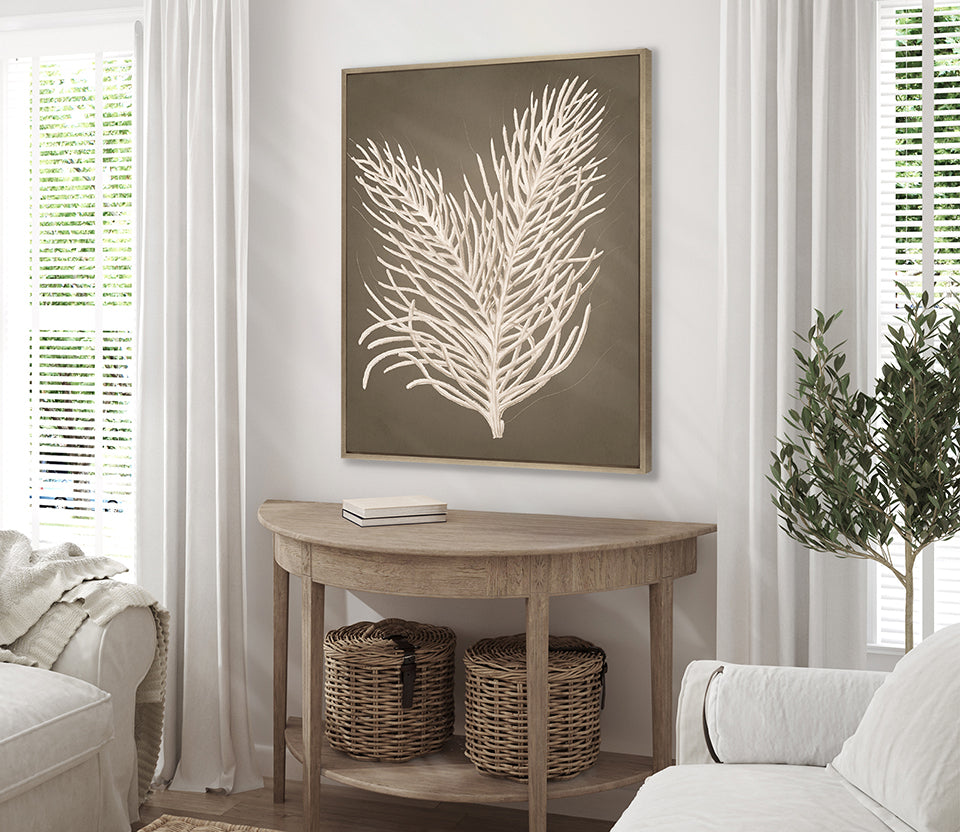 Coral Curiosity IV (Canvas)