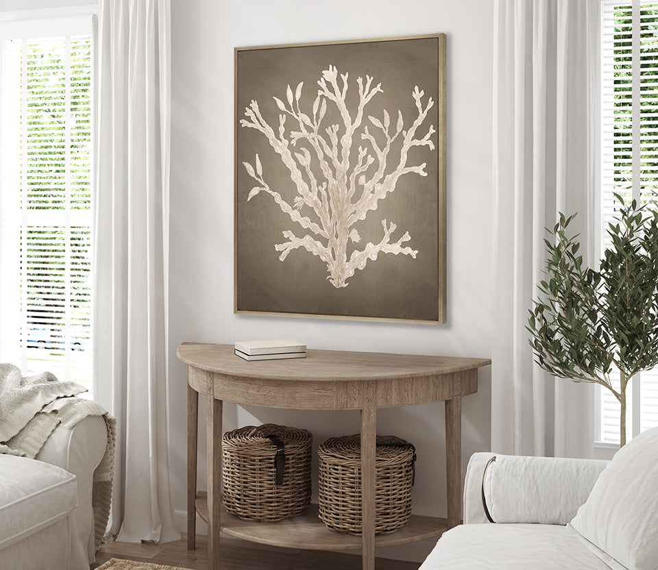 Coral Curiosity V (Canvas)
