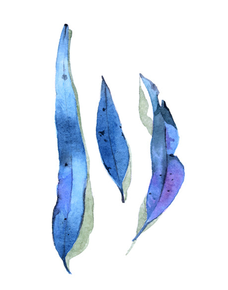 Fairbank Leaf I