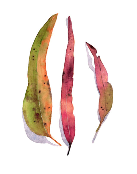 Fairbank Leaf IV
