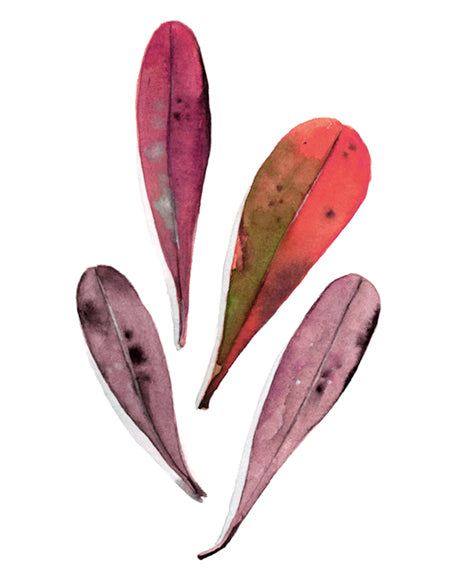 Fairbank Leaf V