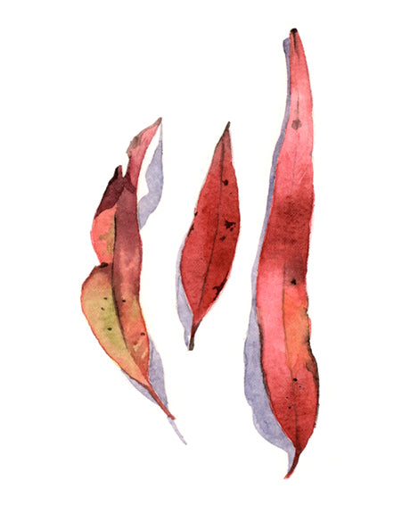 Fairbank Leaf VI