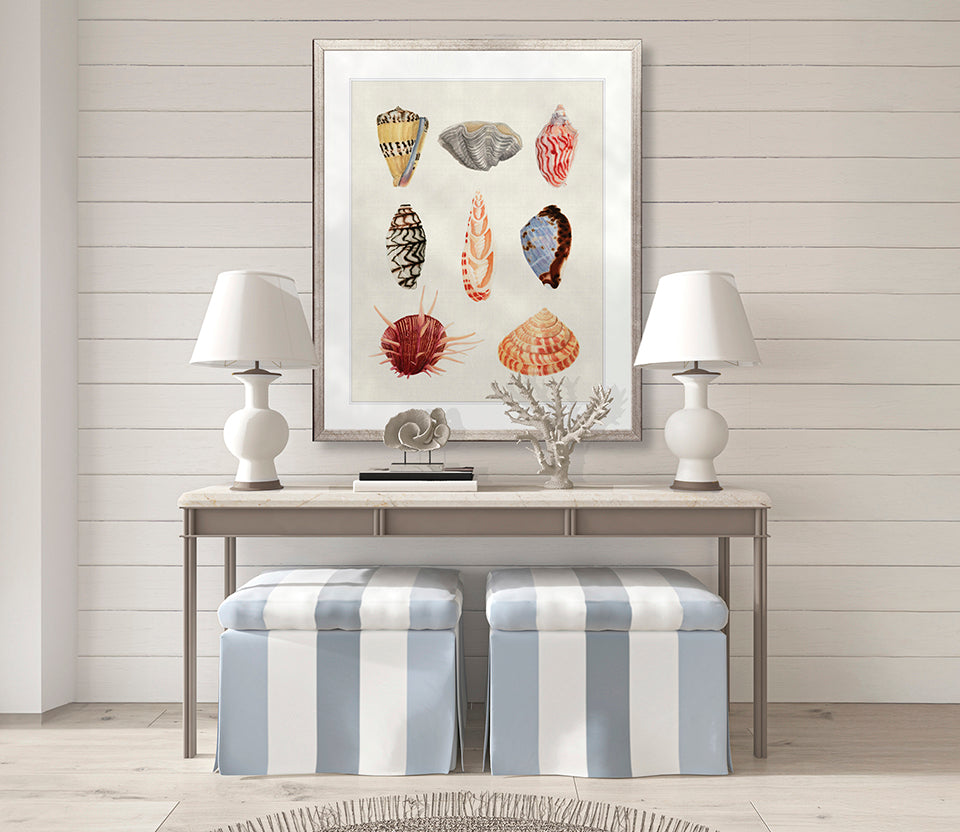 Seashell Collage III