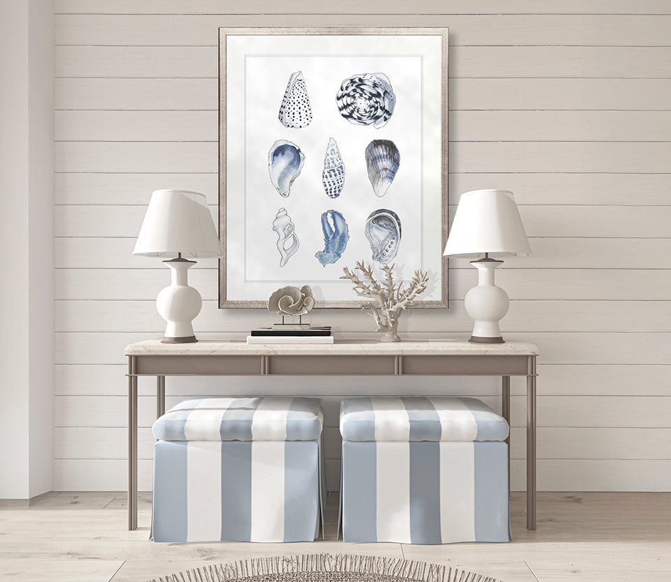 Seashell Collage VI