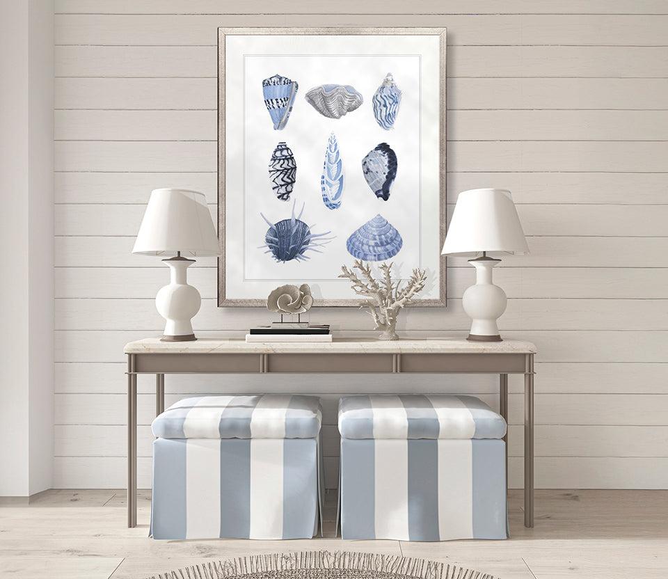 Seashell Collage VII