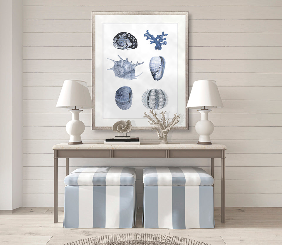 Seashell Collage VIII