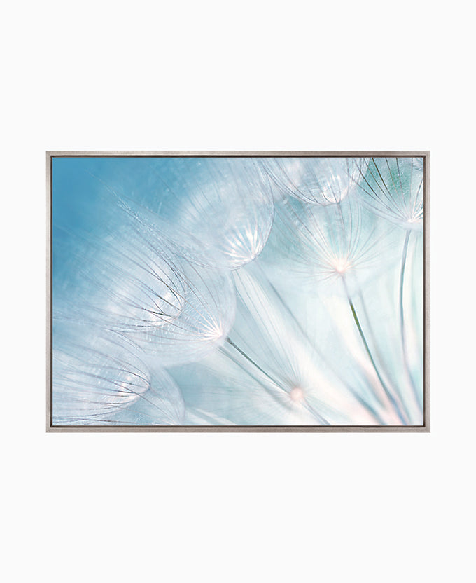 Floating Seeds I (Canvas)