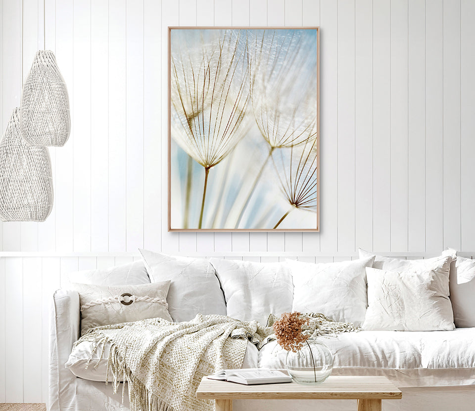 Floating Seeds III (Canvas)
