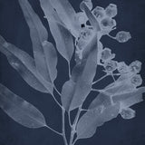 fol01-c_3