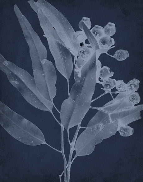 Foliage Splendour (Indigo) I (Canvas)