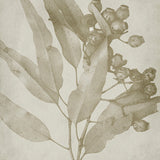 fol05_3