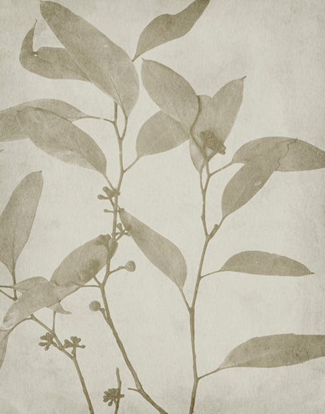 Foliage Splendour (Natural) VII