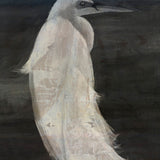 gallery147-c_3