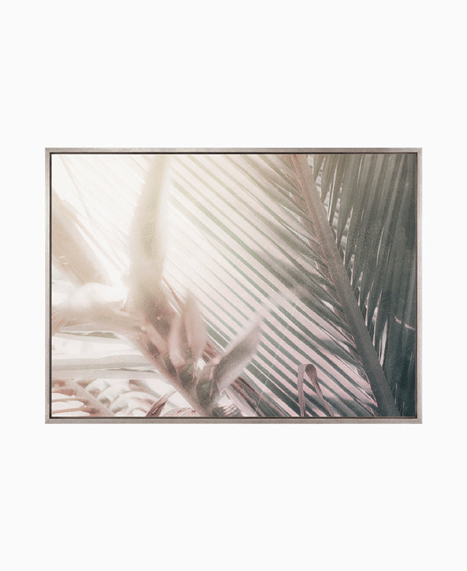 Gardiners Palms II (Canvas)