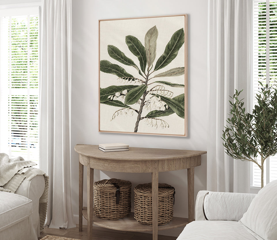 Hasting Native IV (Canvas)