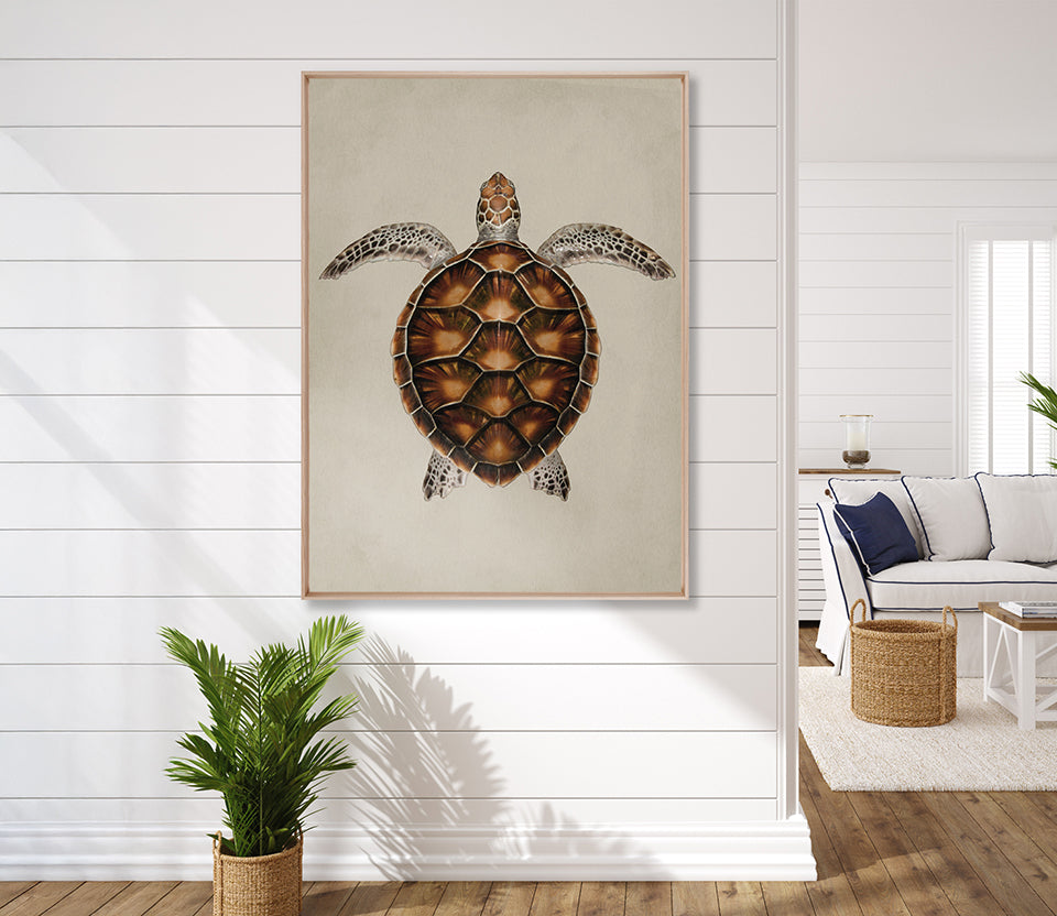 Majestic Turtle I (Canvas)