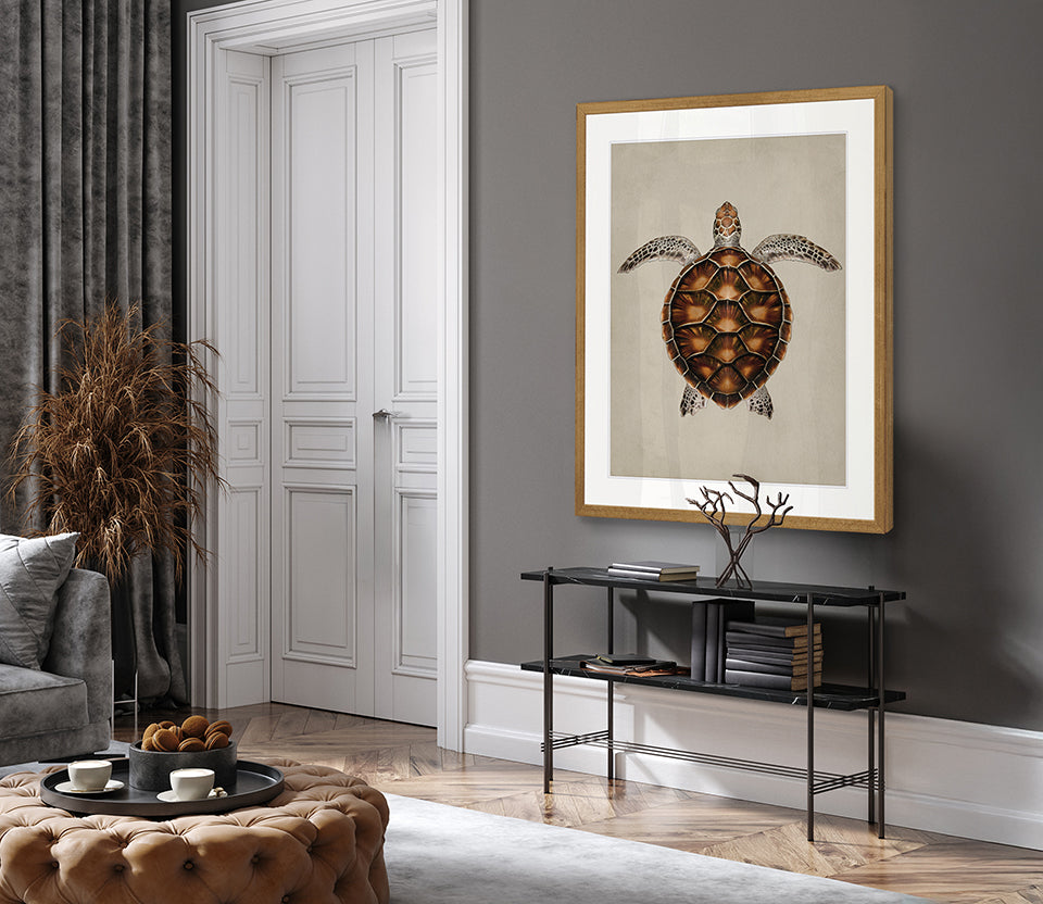 Majestic Turtle I
