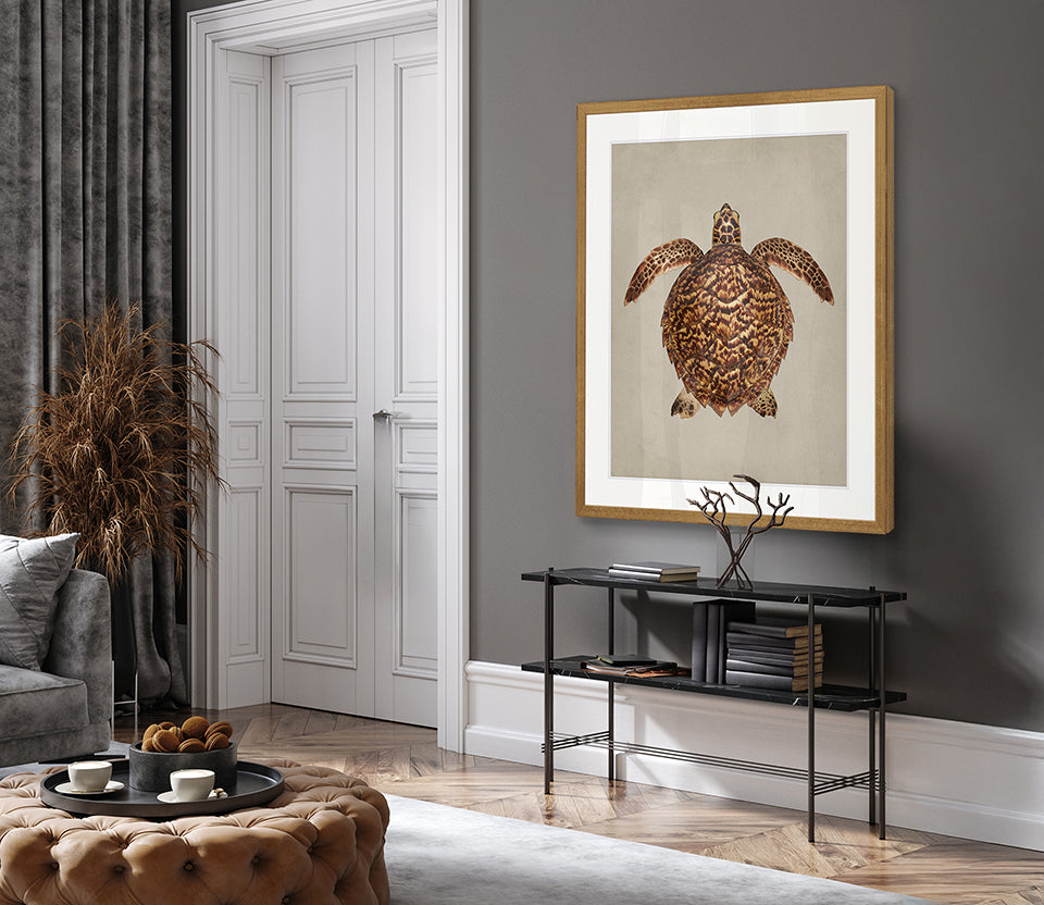 z. Majestic Turtle II