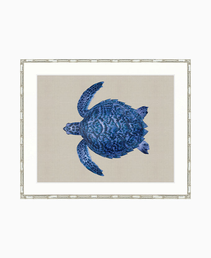 Majestic Turtle VI