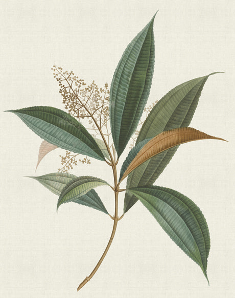Floral Elegance I