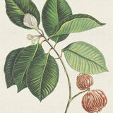 ind01_3