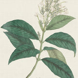ind02_3