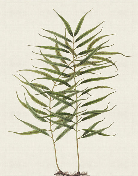Exotic Foliage IX