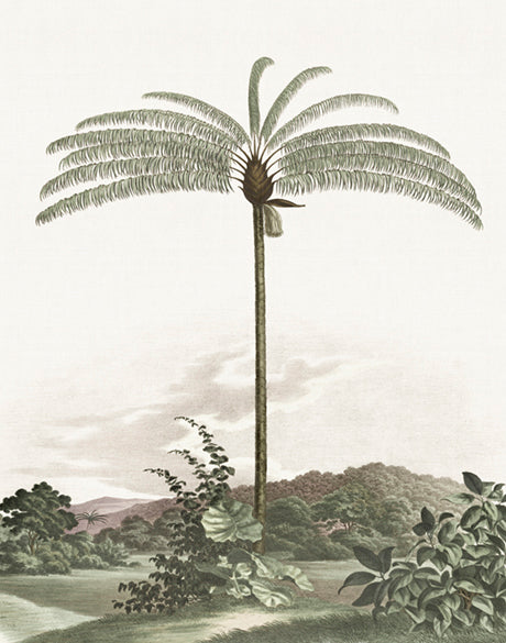 Vintage Palm Study I (Canvas)