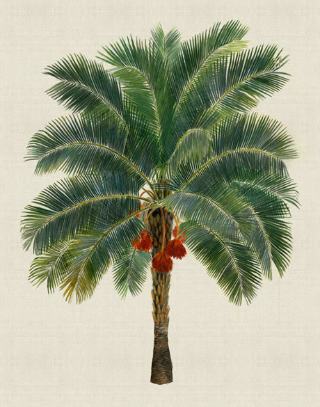 Kebaya Palm II