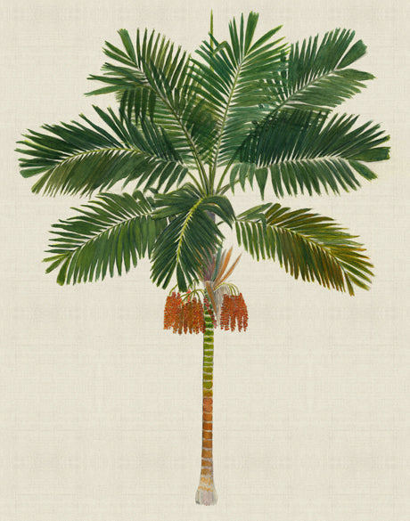 Kebaya Palm III