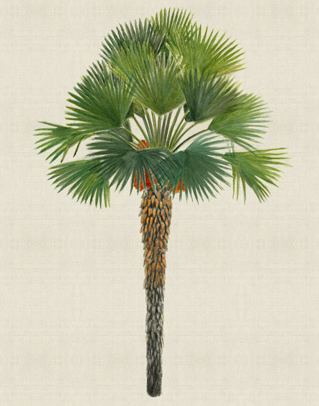 Kebaya Palm IV