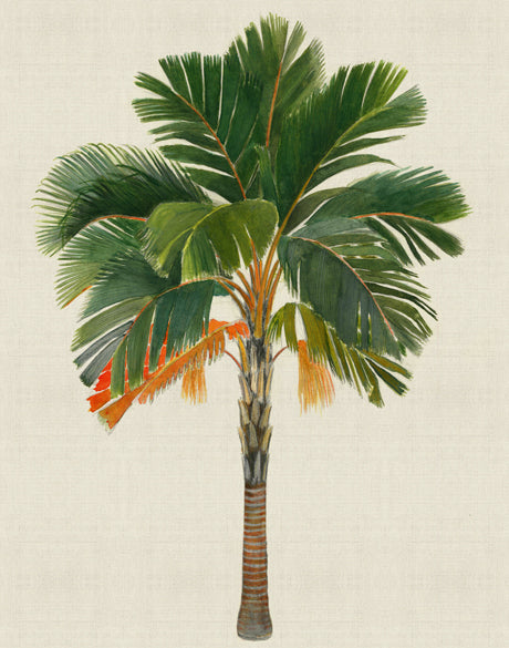 Kebaya Palm VI