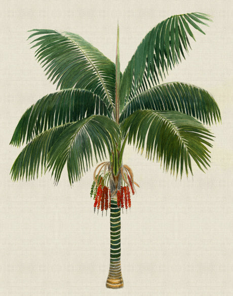 Kebaya Palm VII (Canvas)