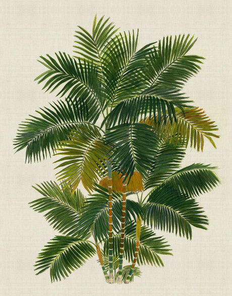 Kebaya Palm X (Canvas)