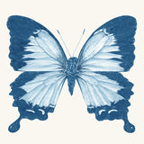 kes01_3