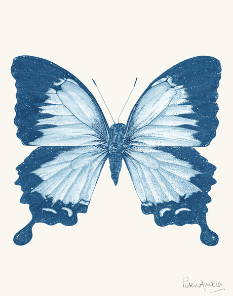 Fanciful Butterfly I