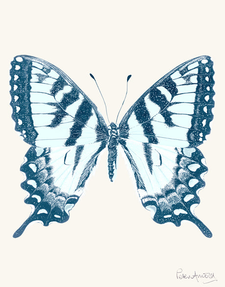 Fanciful Butterfly II