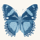 kes03_3