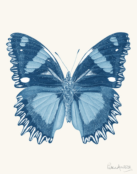 Fanciful Butterfly III